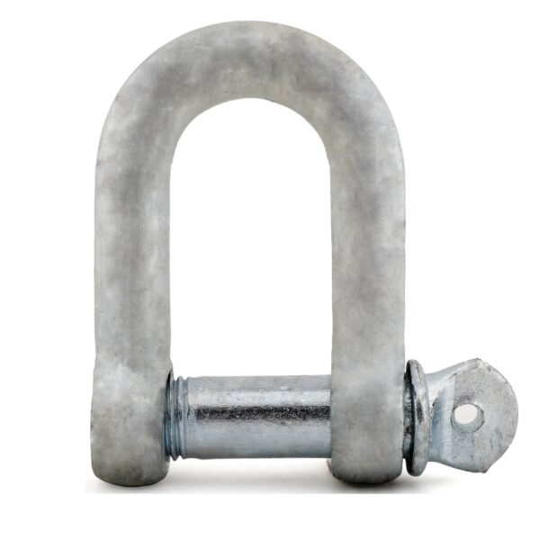 Distributor of Commercial D Shackle in UAE