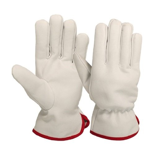 Distributor of S@it PI-3029 Driving Gloves in UAE