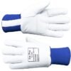 Distributor of Ice Pro Leather Freezer Gloves with Thick Foam Lining in UAE