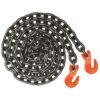 Distributor of Load Chain With Hooks 10mm x 12 Meter in UAE
