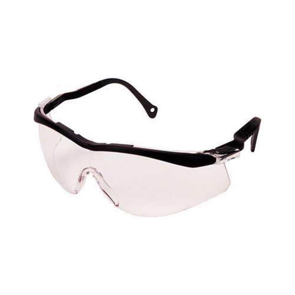 Distributor of Honeywell North N-Vision T56565BTCG Safety Glasses in UAE